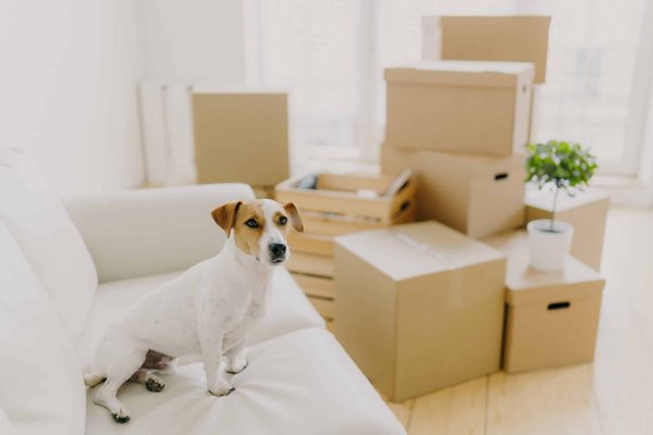 Quelles stratégies pour porter des talons hauts toute la journée sans inconfort?